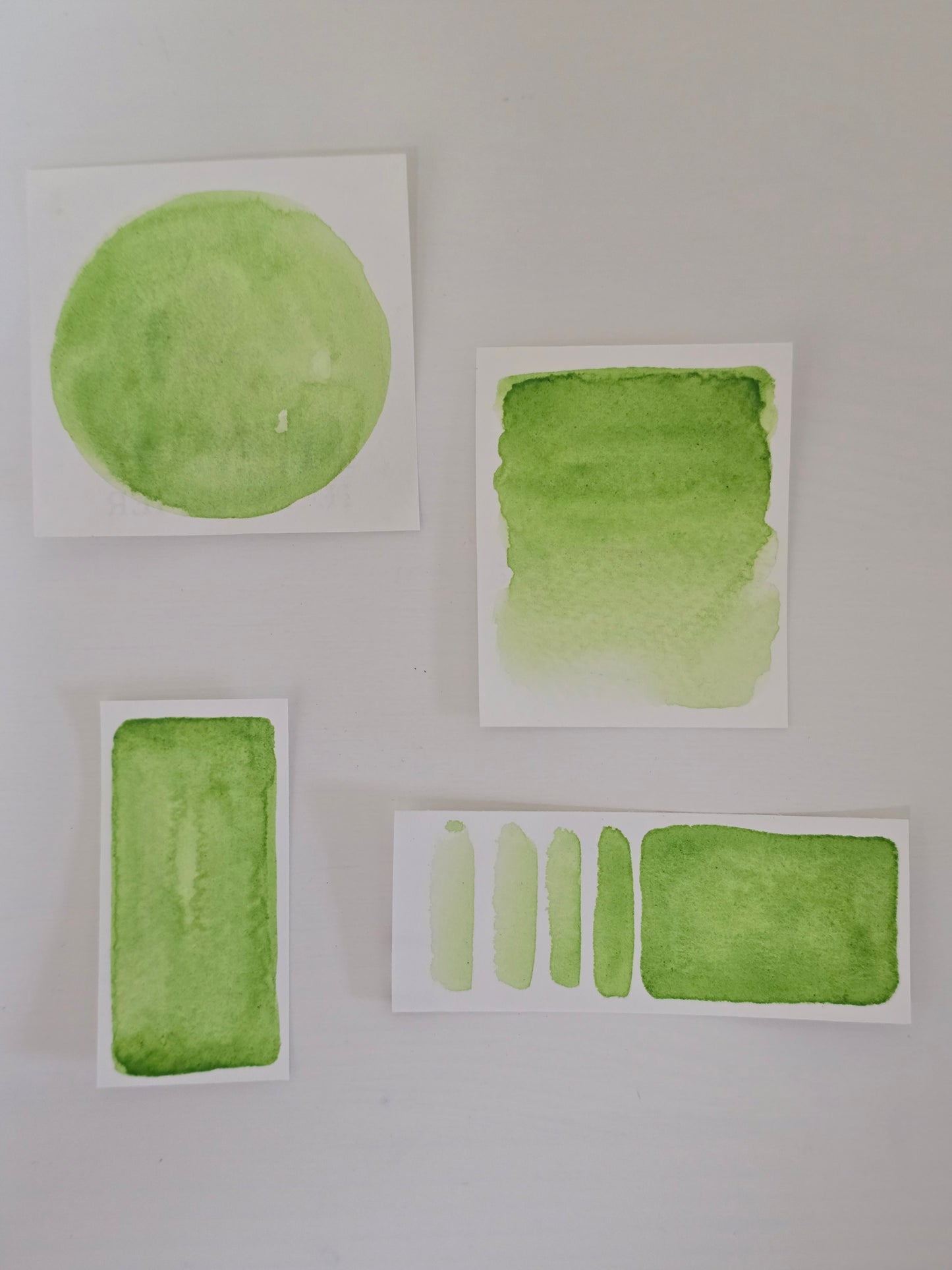 MN284 - Chlorophyll Green - MNcolors handgemachte Aquarellfarben
